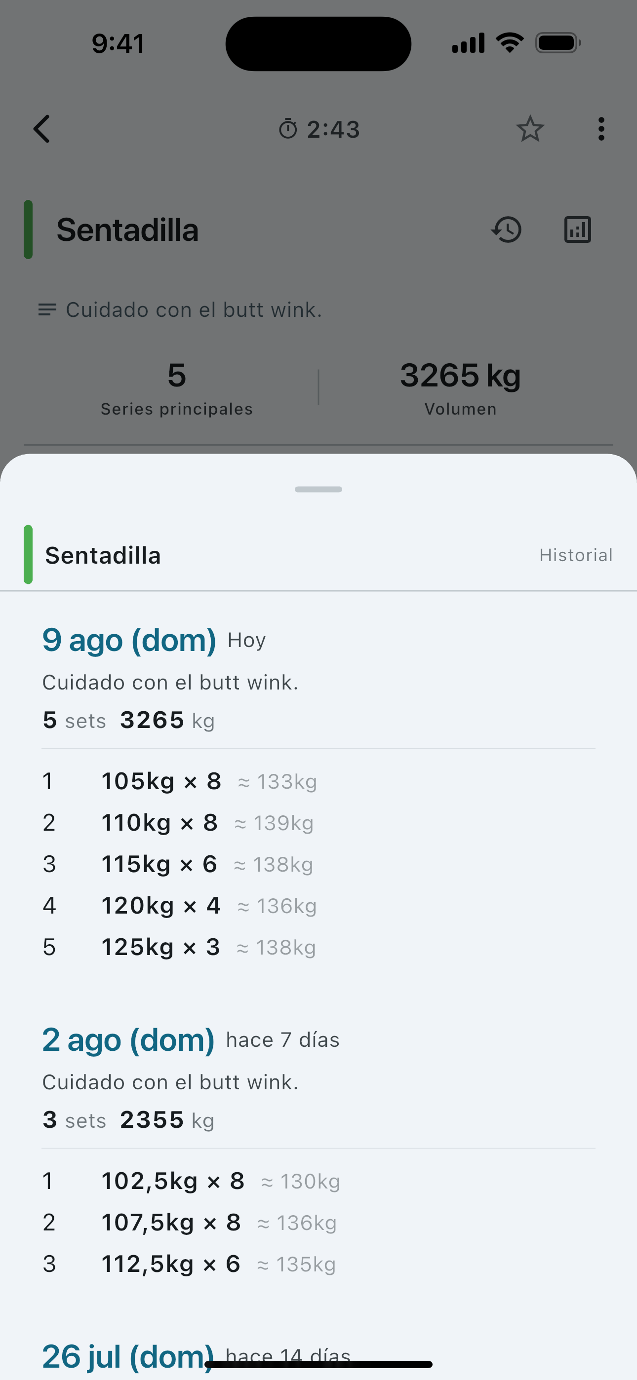 Set history for a single exercise — weight and reps session by session