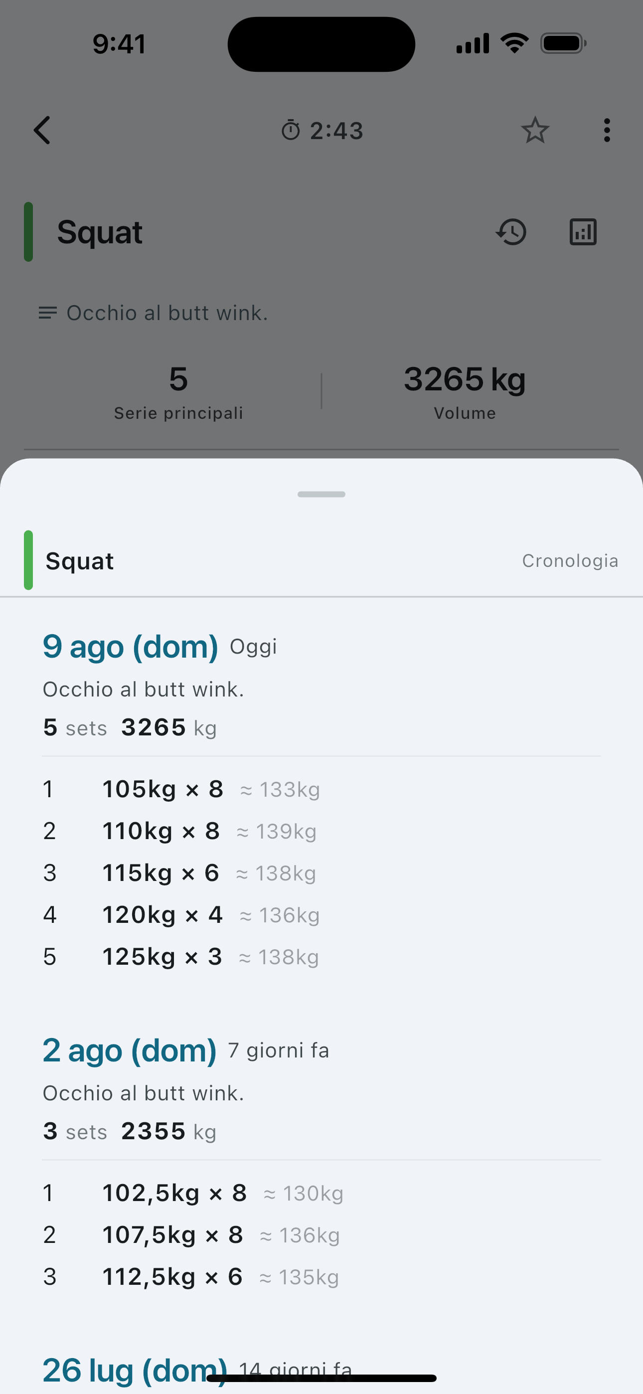 Set history for a single exercise — weight and reps session by session