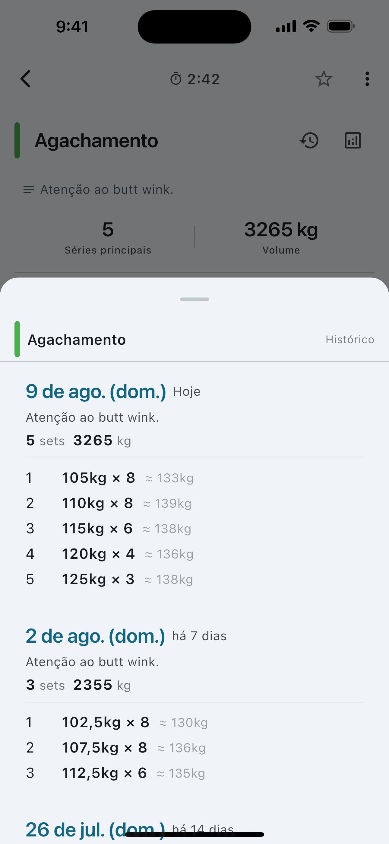Set history for a single exercise — weight and reps session by session