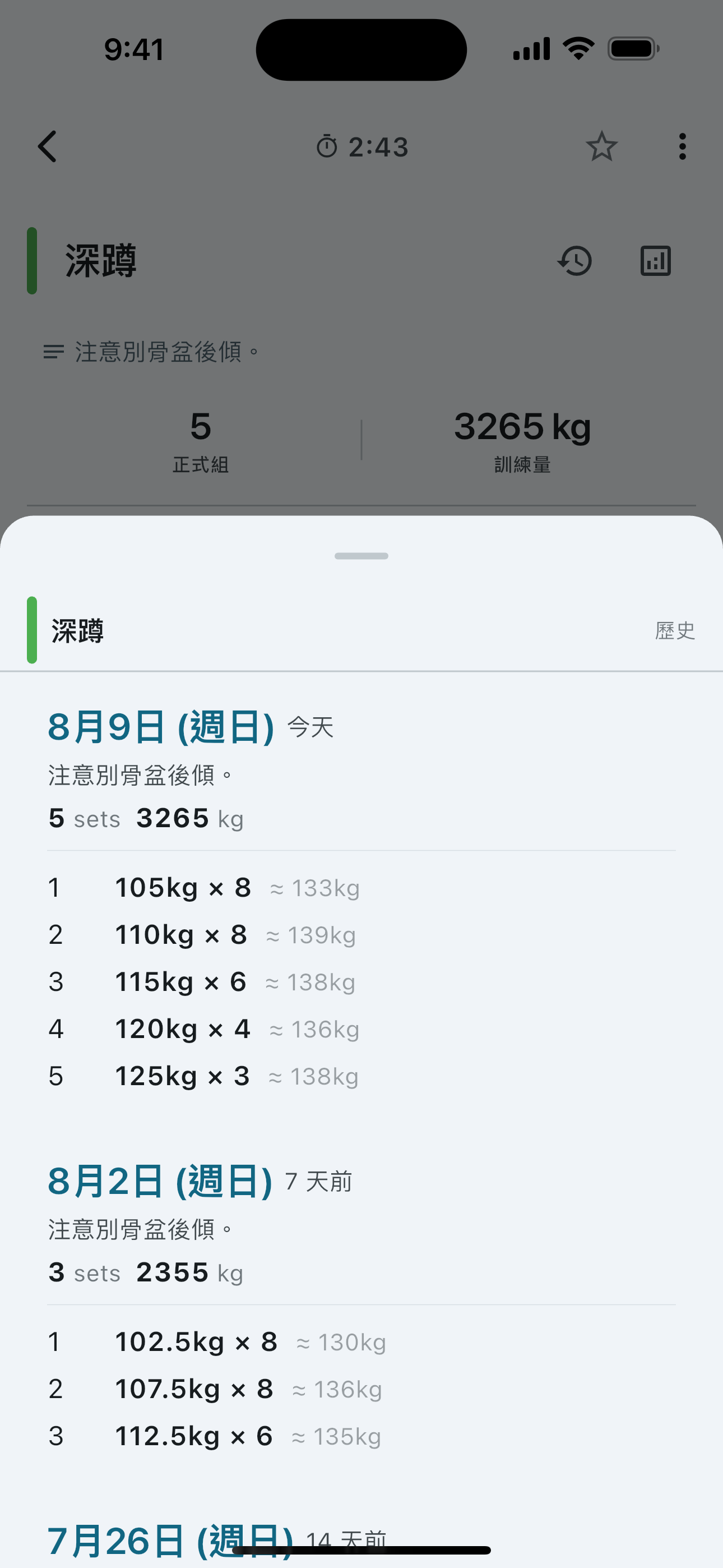 Set history for a single exercise — weight and reps session by session