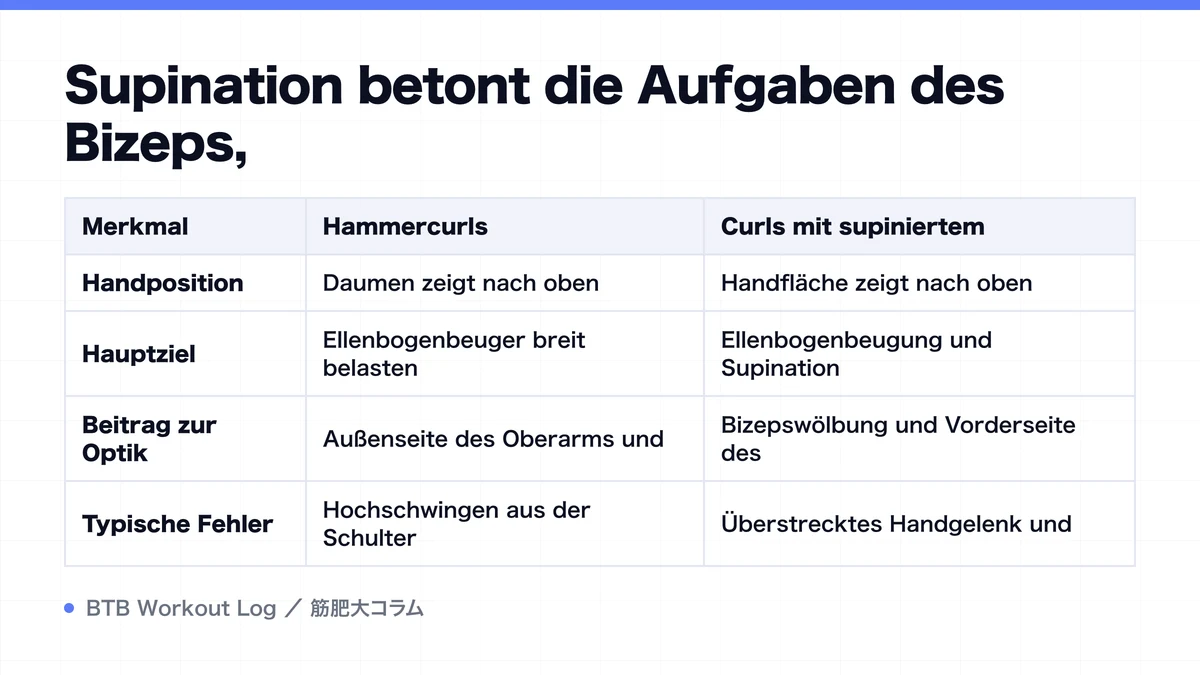 Diagram: Supination betont die Aufgaben des Bizeps,