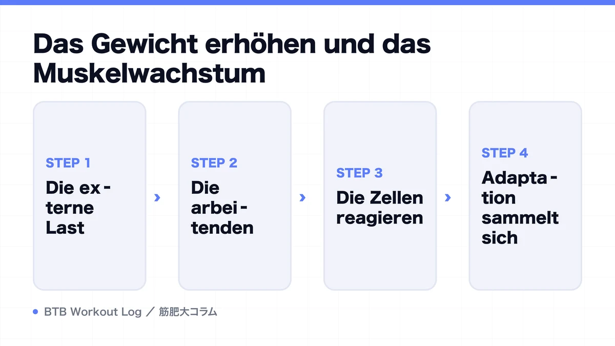 Diagram: Das Gewicht erhöhen und das Muskelwachstum