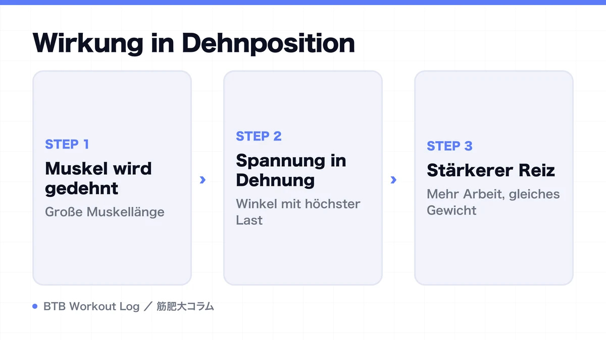 Diagram: Wirkung in Dehnposition