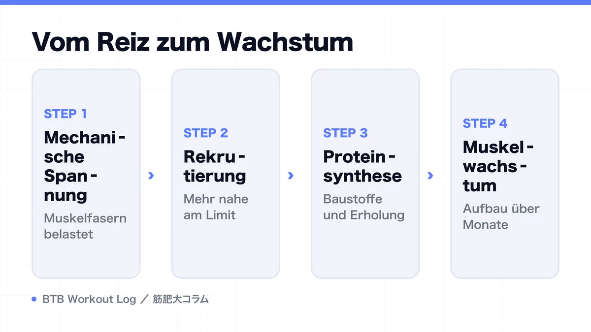 Diagram: Vom Reiz zum Wachstum