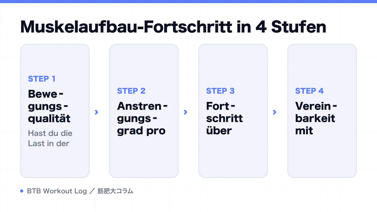 Diagram: Muskelaufbau-Fortschritt in 4 Stufen