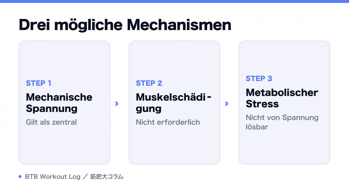 Diagram: Drei mögliche Mechanismen