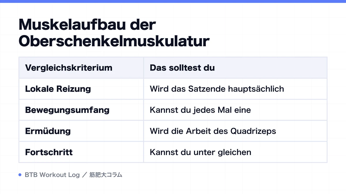 Diagram: Muskelaufbau der Oberschenkelmuskulatur