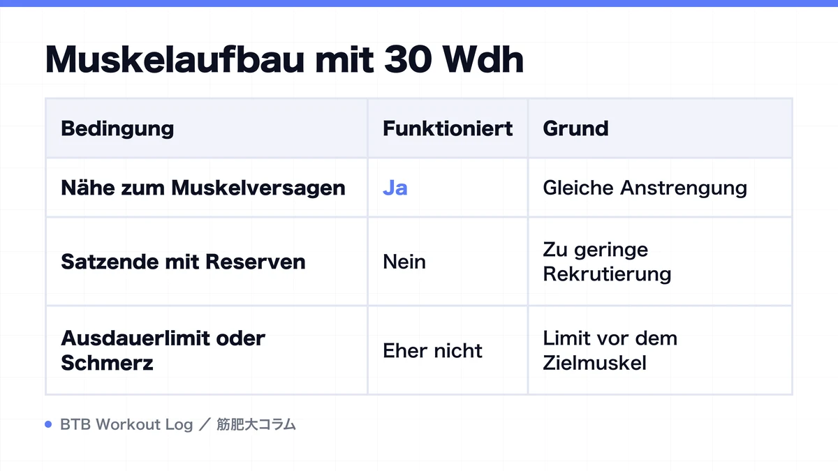 Diagram: Muskelaufbau mit 30 Wdh