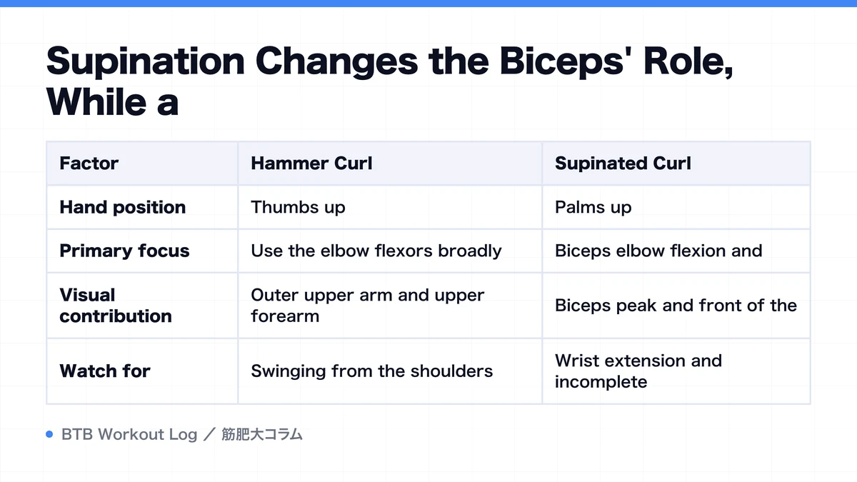 Diagram: Supination Changes the Biceps' Role, While a