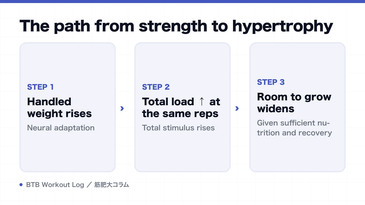 Diagram: The path from strength to hypertrophy