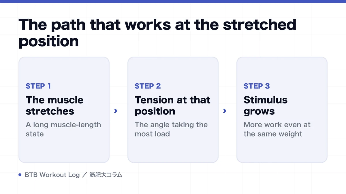 Diagram: The path that works at the stretched position