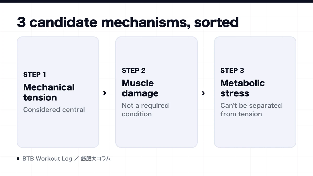 Diagram: 3 candidate mechanisms, sorted