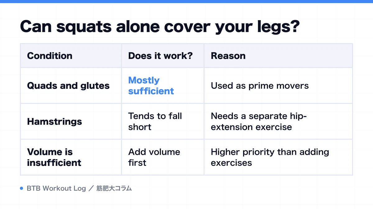 Diagram: Can squats alone cover your legs?