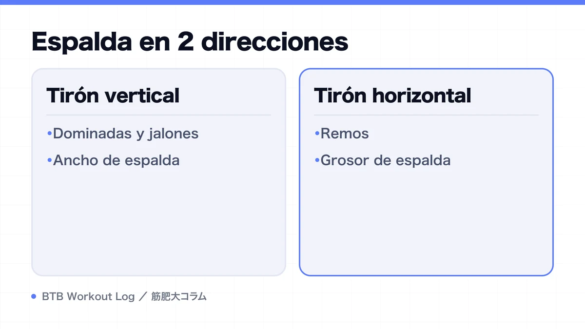 Diagram: Espalda en 2 direcciones