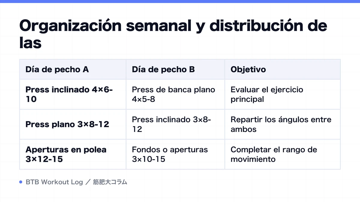 Diagram: Organización semanal y distribución de las