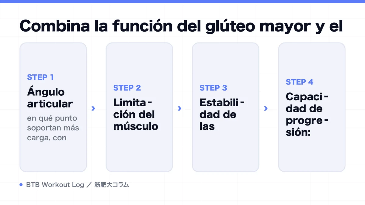 Diagram: Combina la función del glúteo mayor y el