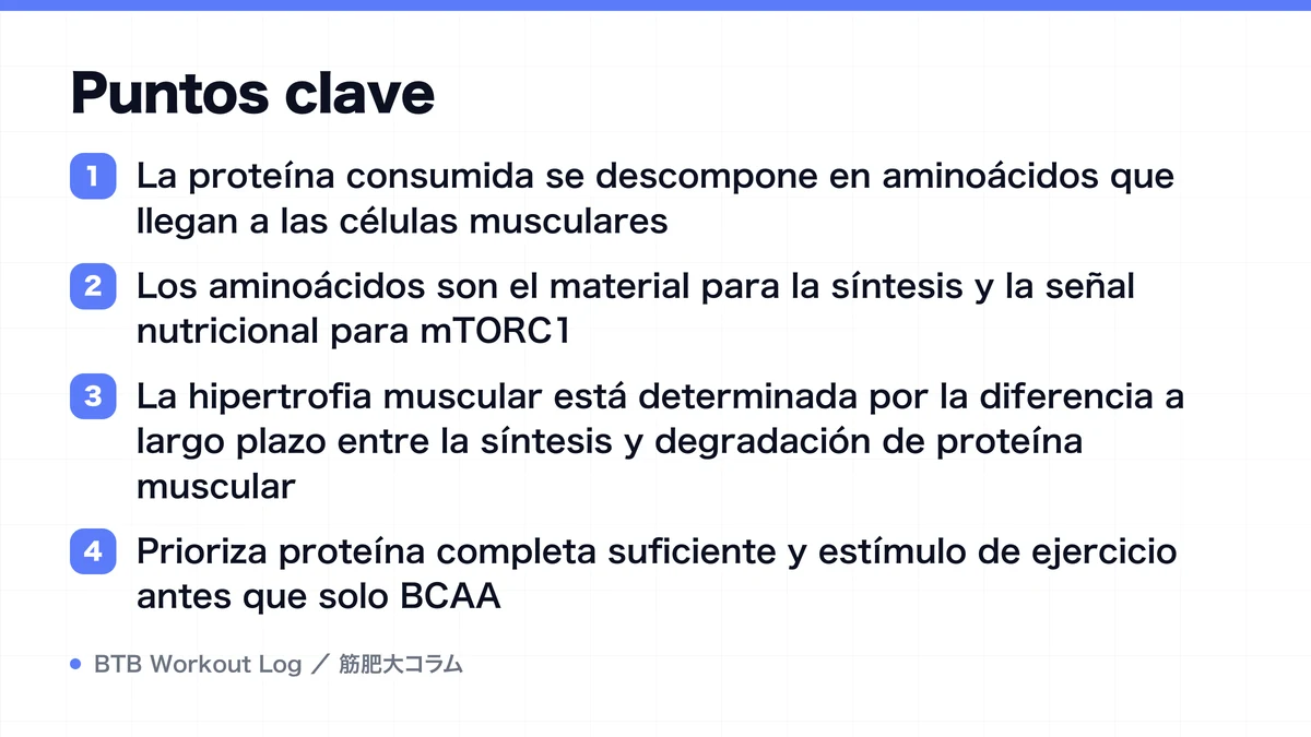 Diagram: Puntos clave