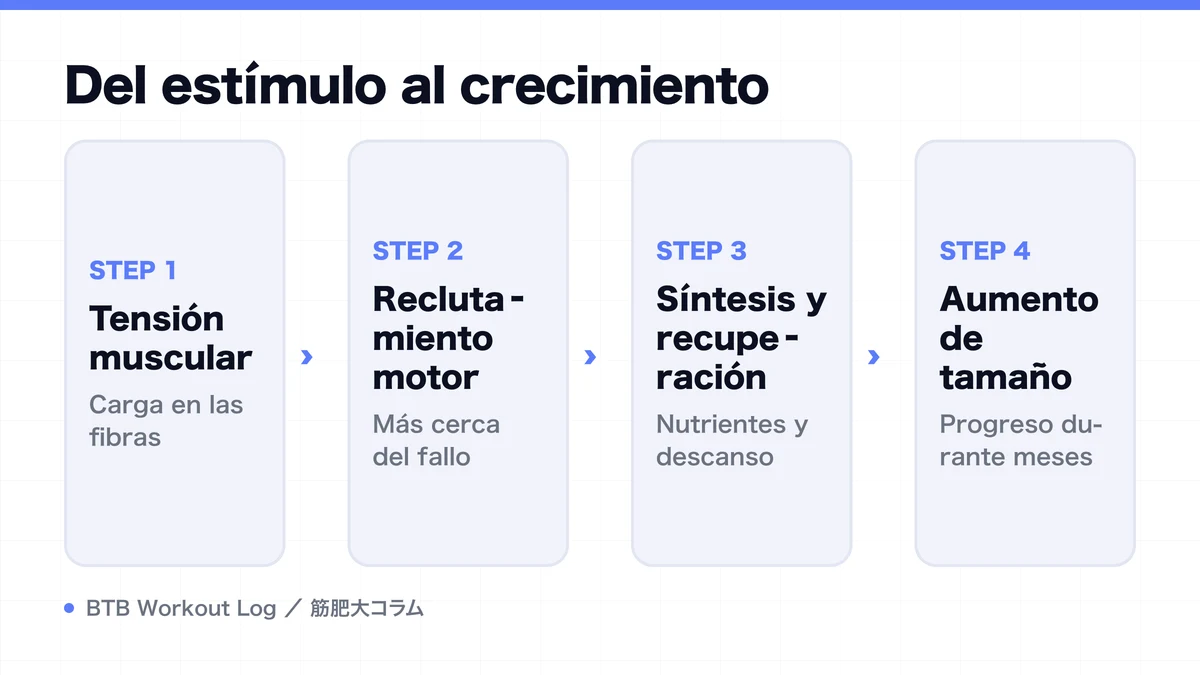 Diagram: Del estímulo al crecimiento