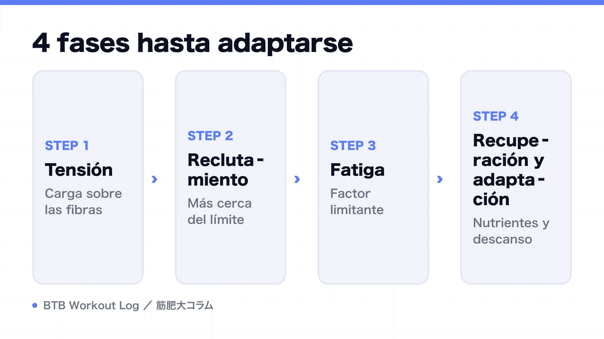 Diagram: 4 fases hasta adaptarse