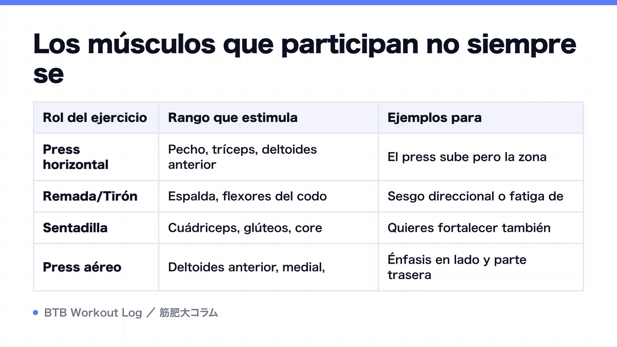 Diagram: Los músculos que participan no siempre se