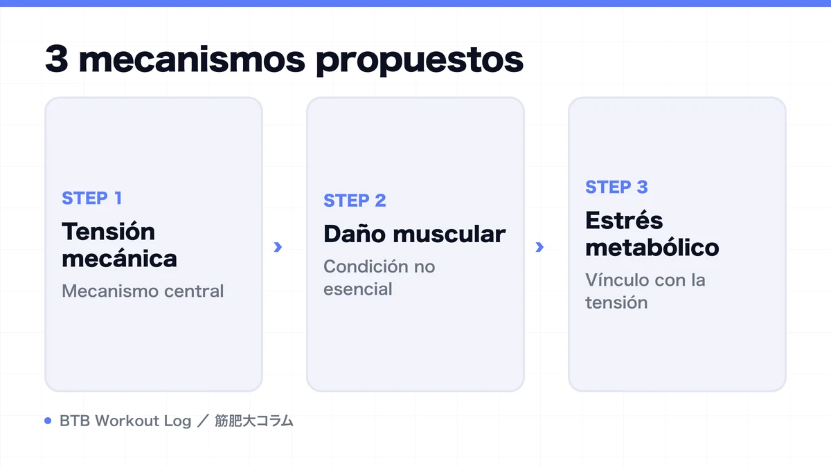 Diagram: 3 mecanismos propuestos