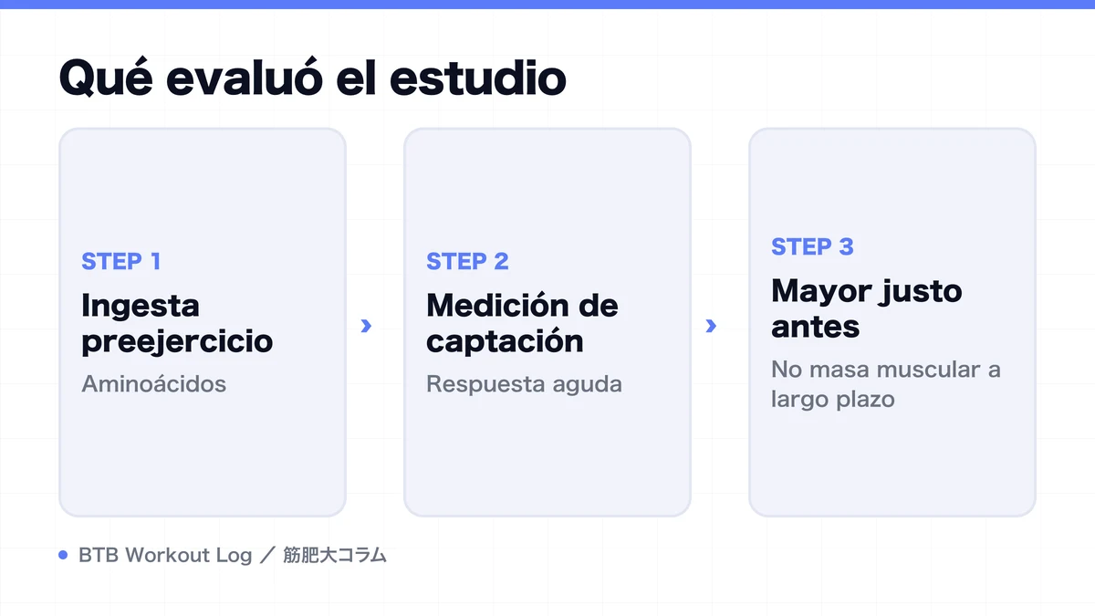 Diagram: Qué evaluó el estudio