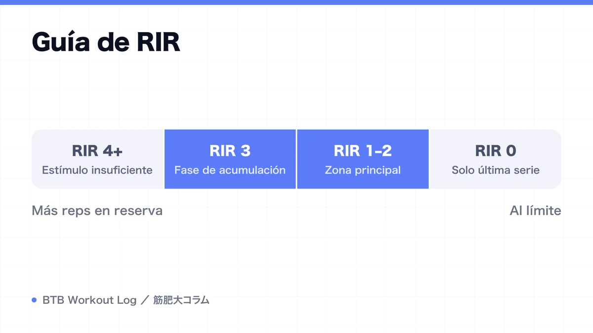Diagram: Guía de RIR