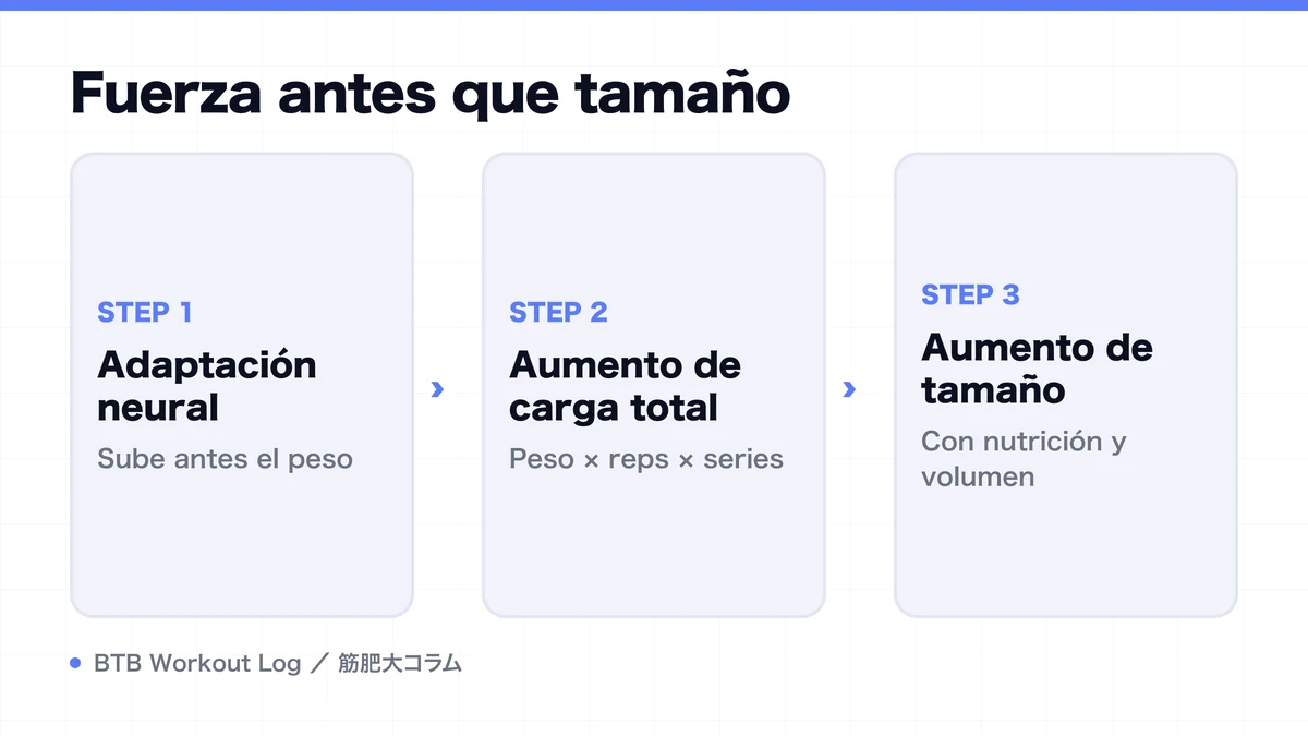 Diagram: Fuerza antes que tamaño