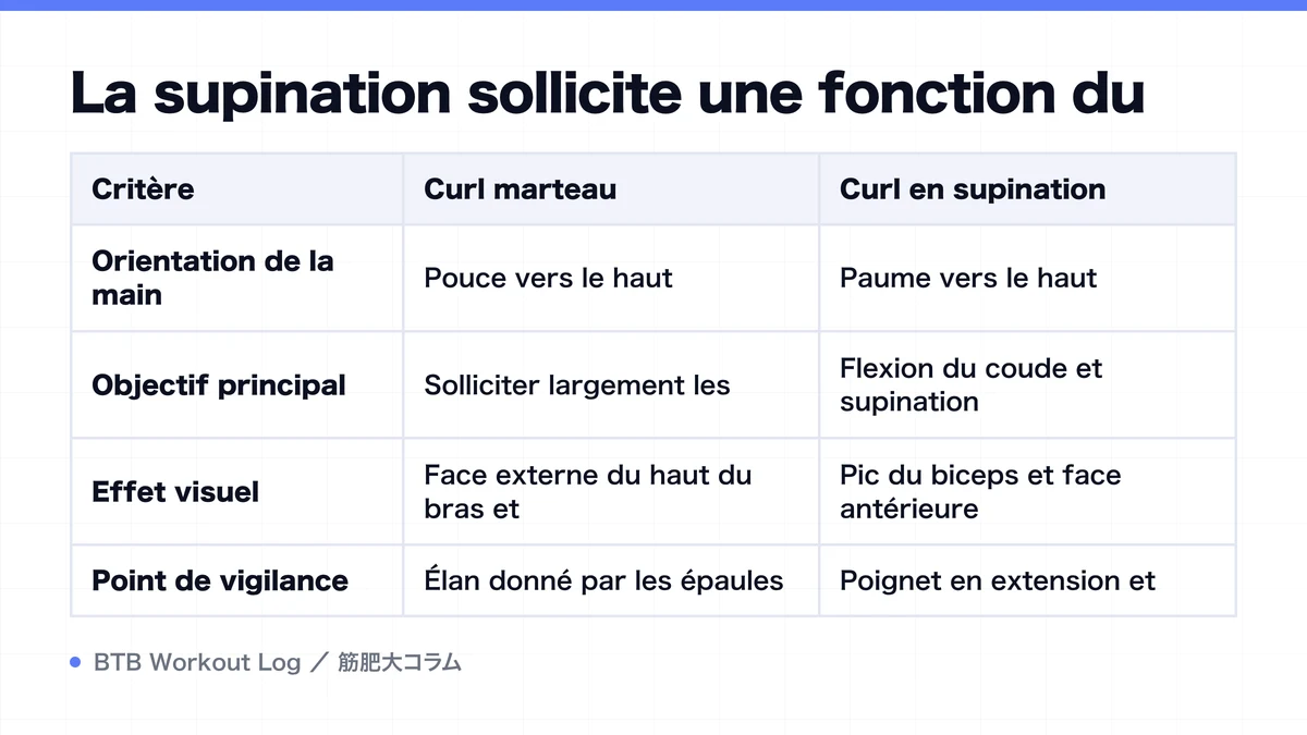 Diagram: La supination sollicite une fonction du