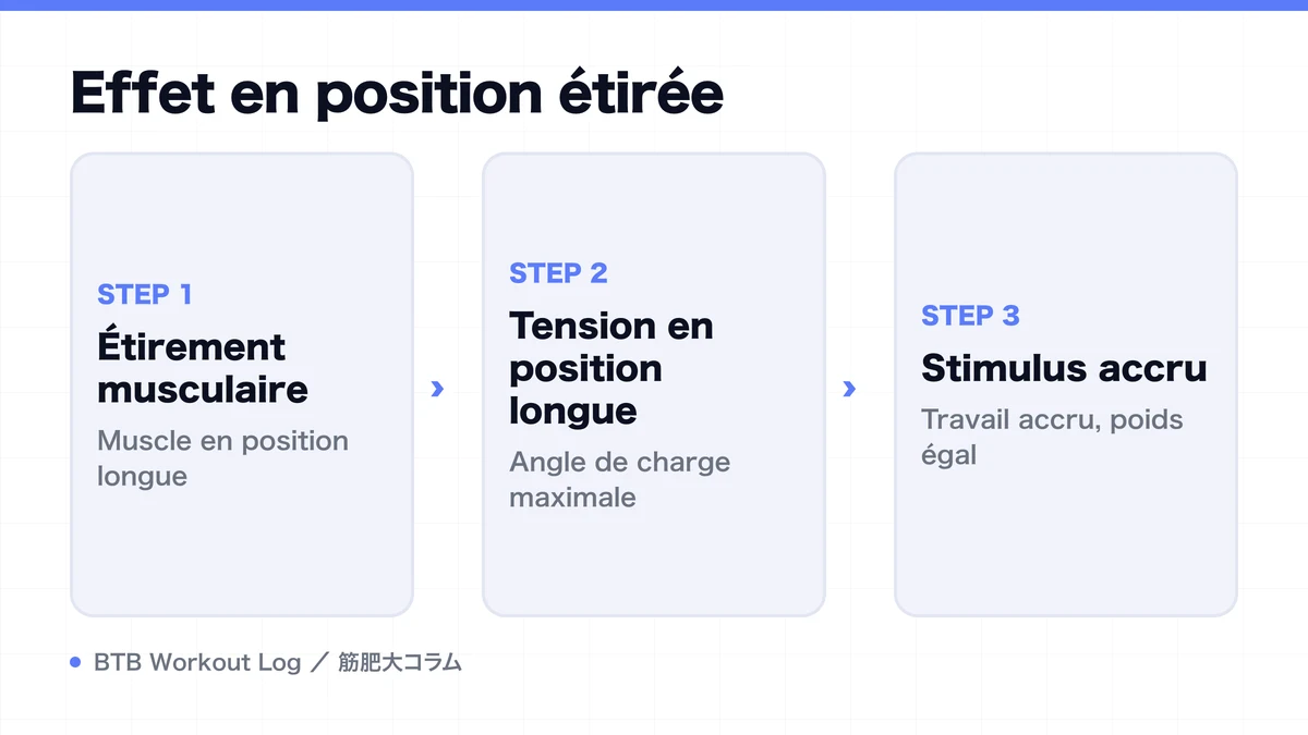Diagram: Effet en position étirée