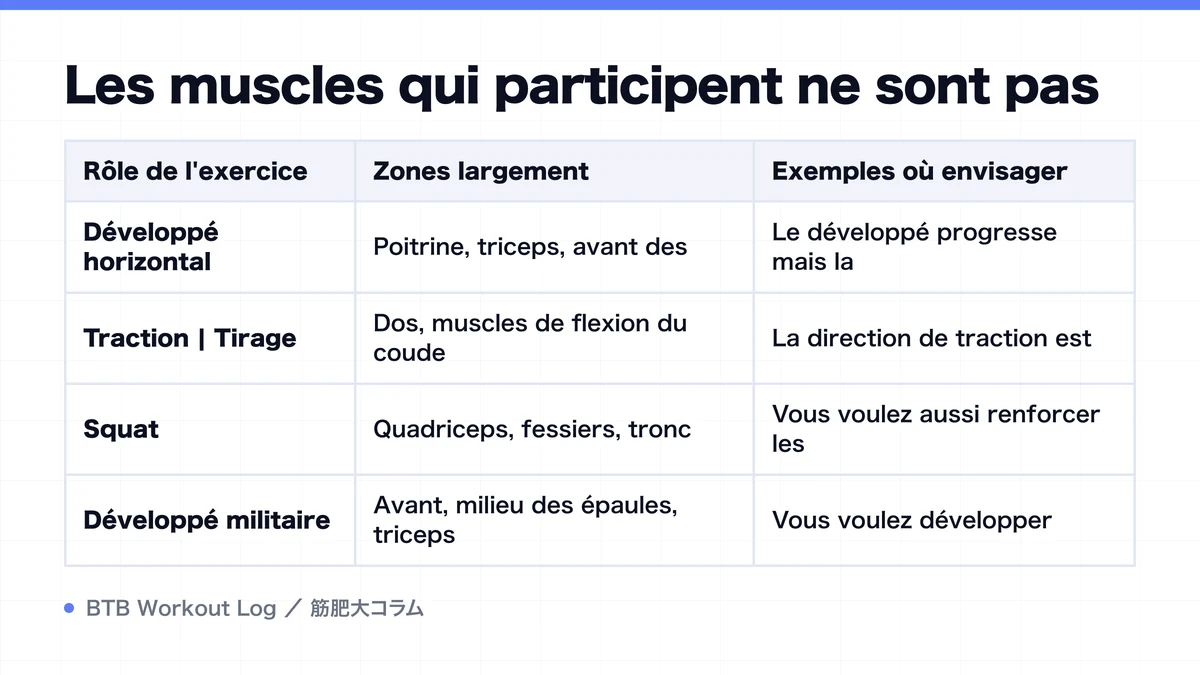 Diagram: Les muscles qui participent ne sont pas