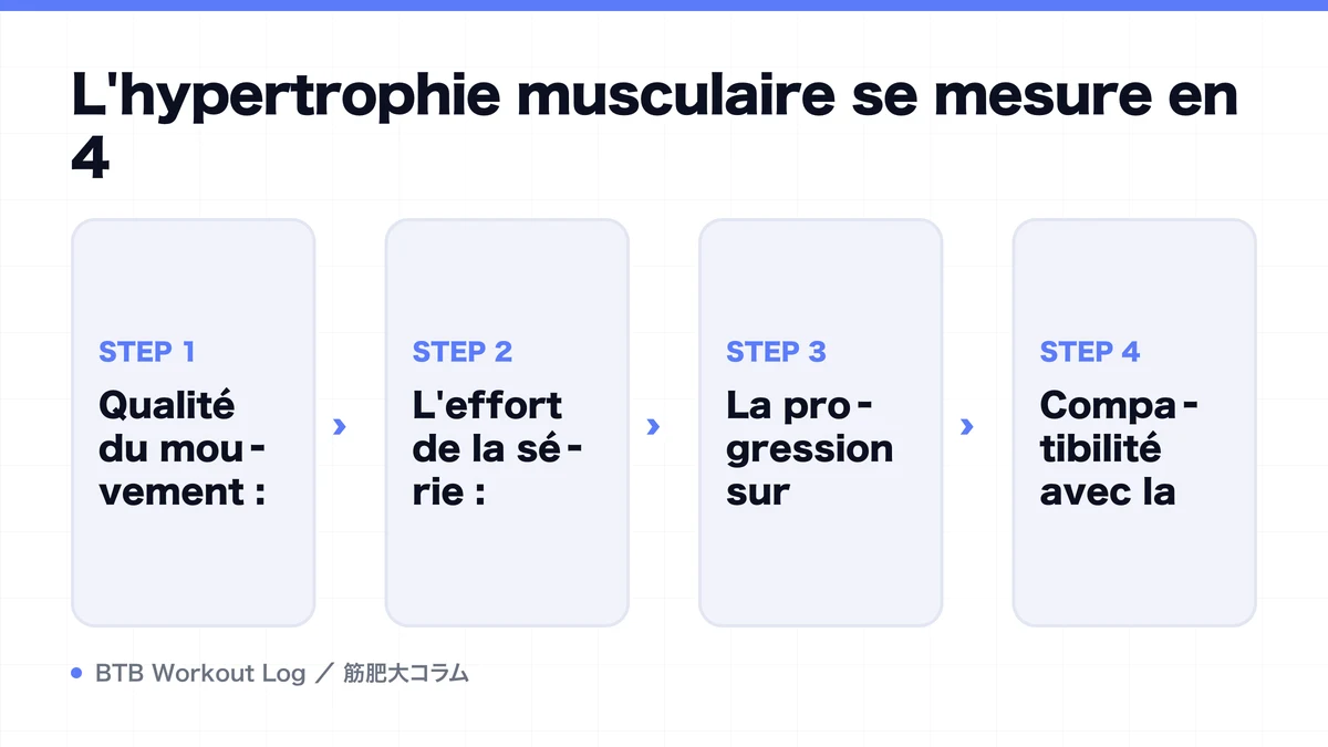 Diagram: L'hypertrophie musculaire se mesure en 4