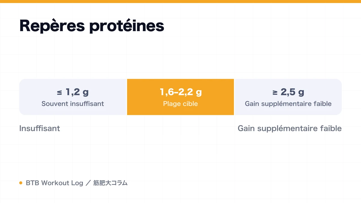 Diagram: Repères protéines