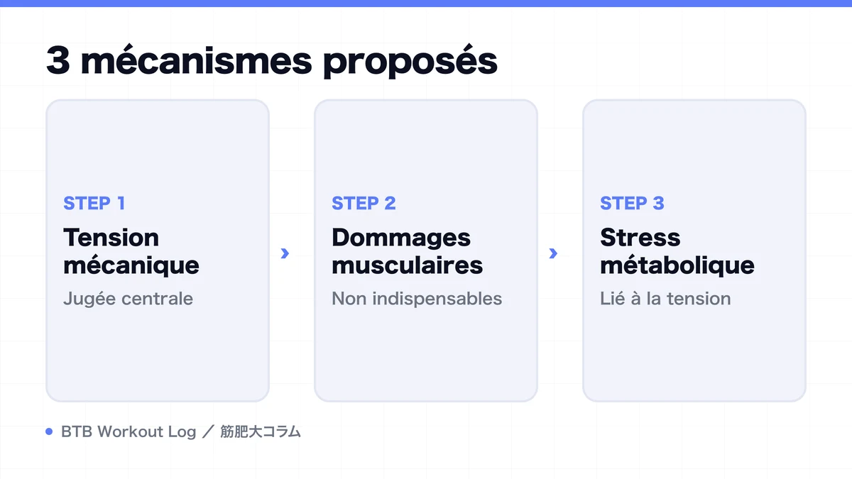 Diagram: 3 mécanismes proposés