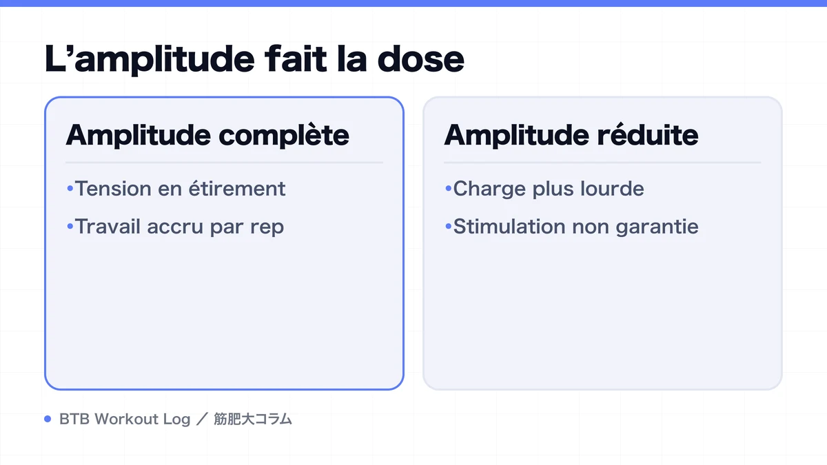 Diagram: L’amplitude fait la dose