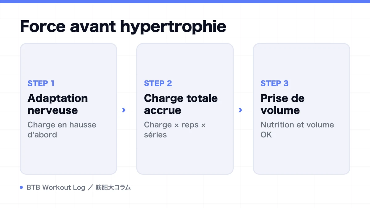 Diagram: Force avant hypertrophie
