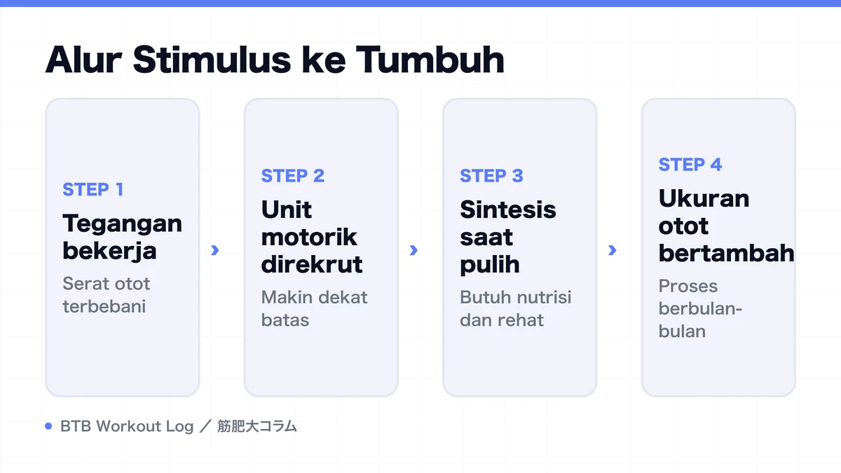 Diagram: Alur Stimulus ke Tumbuh