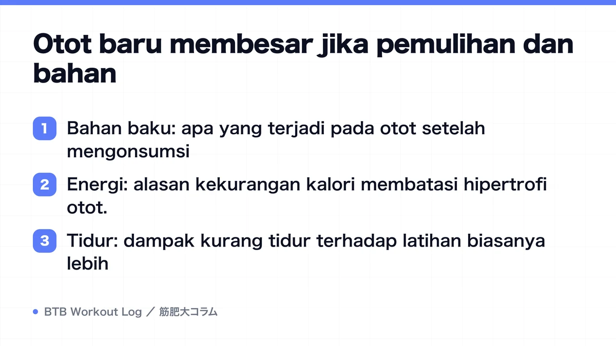 Diagram: Otot baru membesar jika pemulihan dan bahan