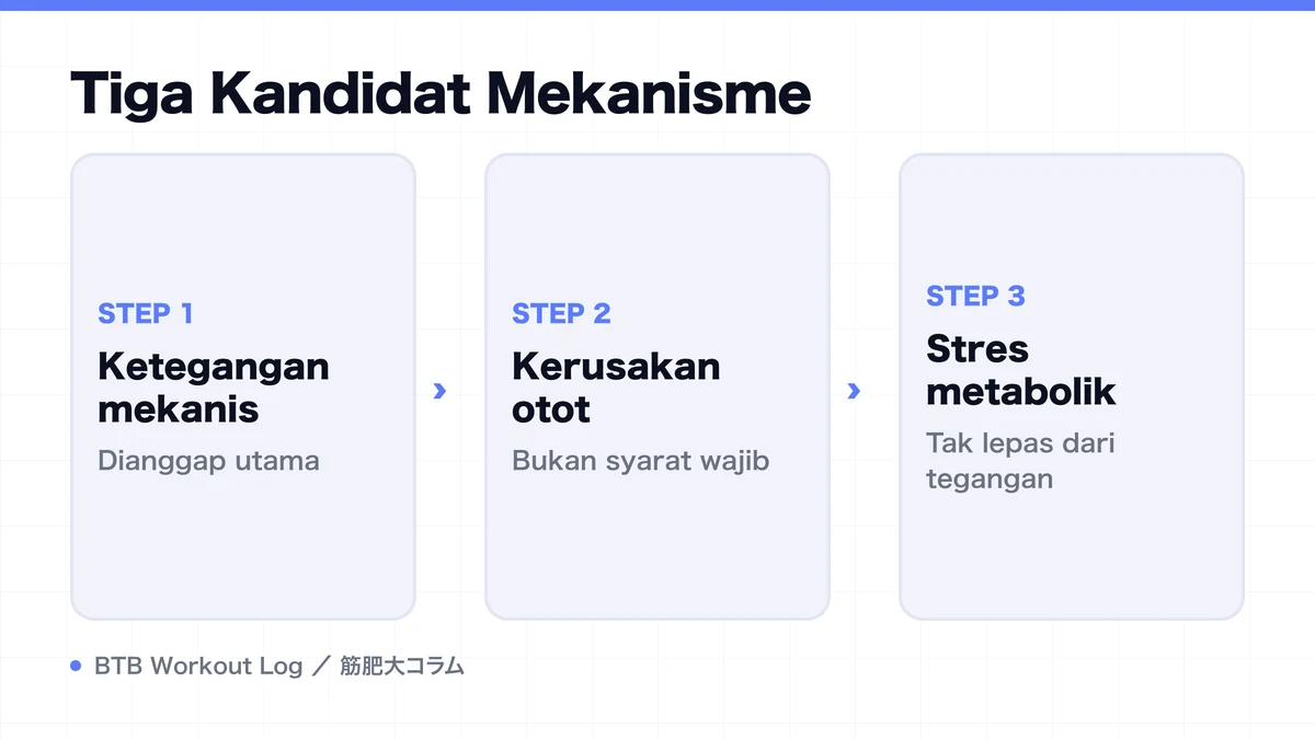Diagram: Tiga Kandidat Mekanisme