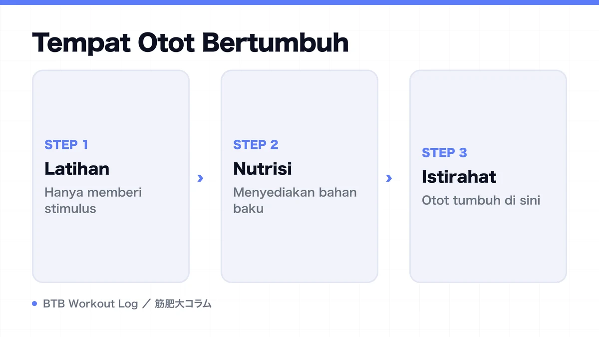 Diagram: Tempat Otot Bertumbuh