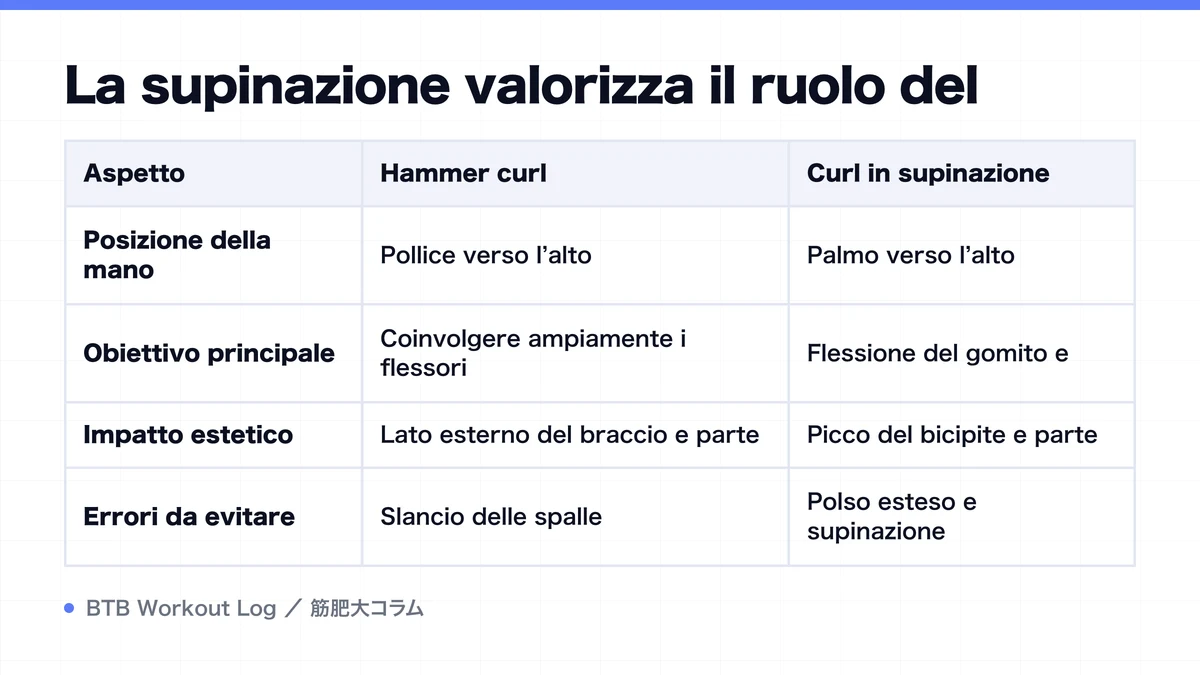 Diagram: La supinazione valorizza il ruolo del
