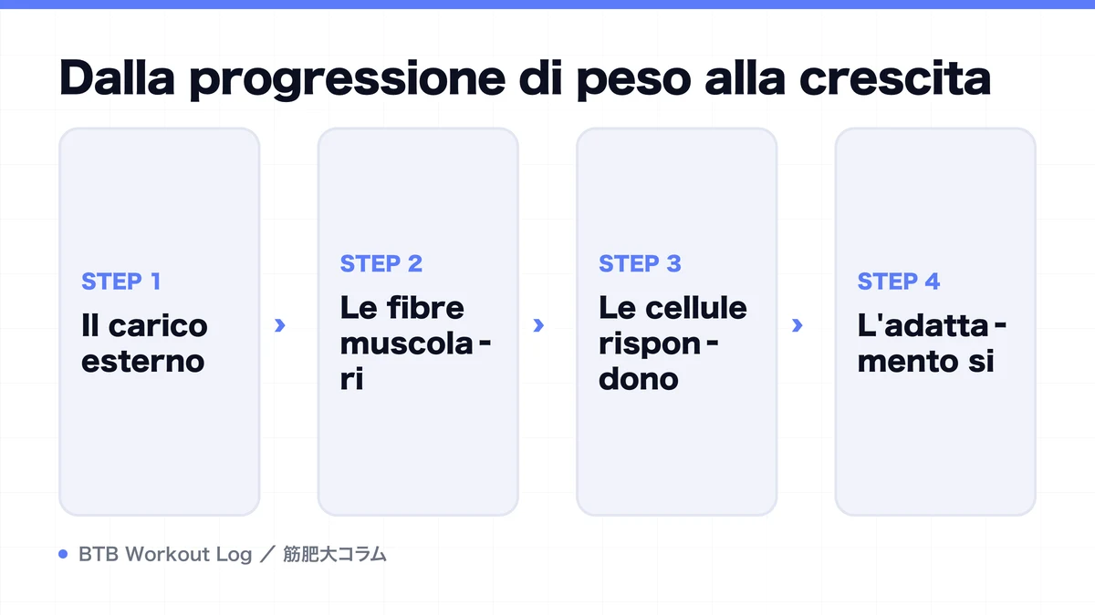 Diagram: Dalla progressione di peso alla crescita
