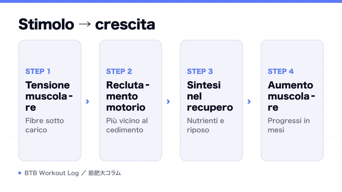 Diagram: Stimolo → crescita