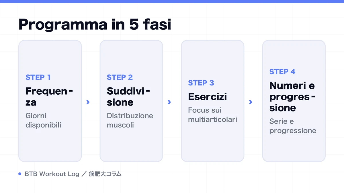 Diagram: Programma in 5 fasi