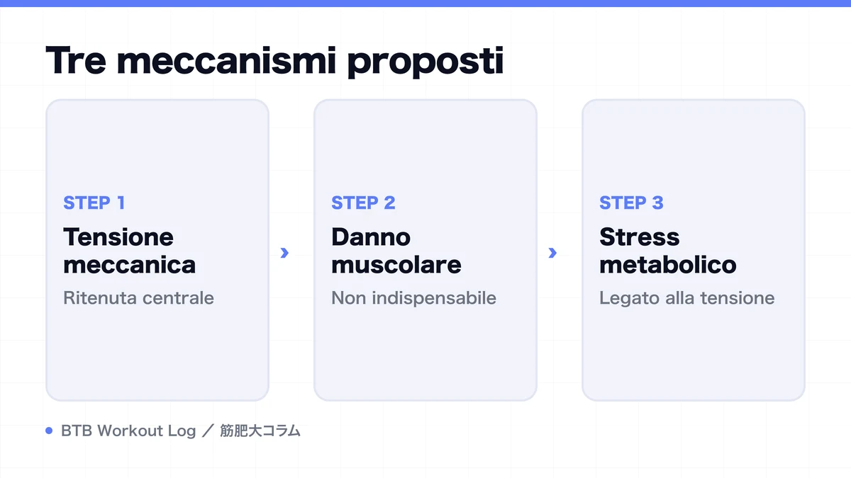 Diagram: Tre meccanismi proposti