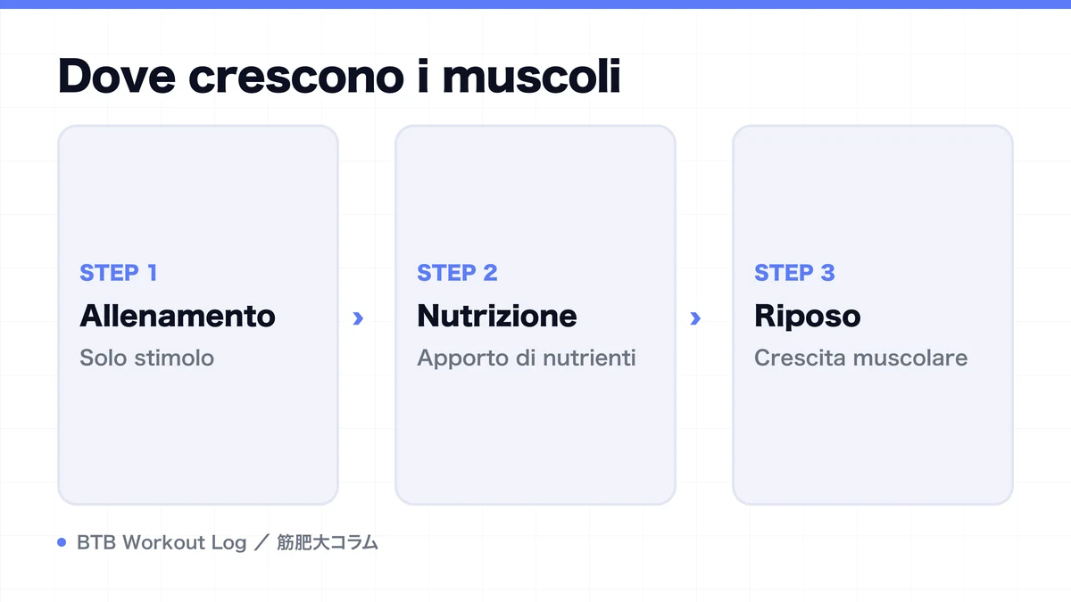 Diagram: Dove crescono i muscoli