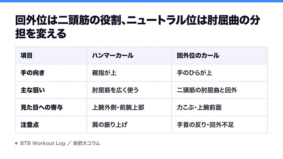 回外位は二頭筋の役割、ニュートラル位は肘屈曲の分担を変えるを示す図解