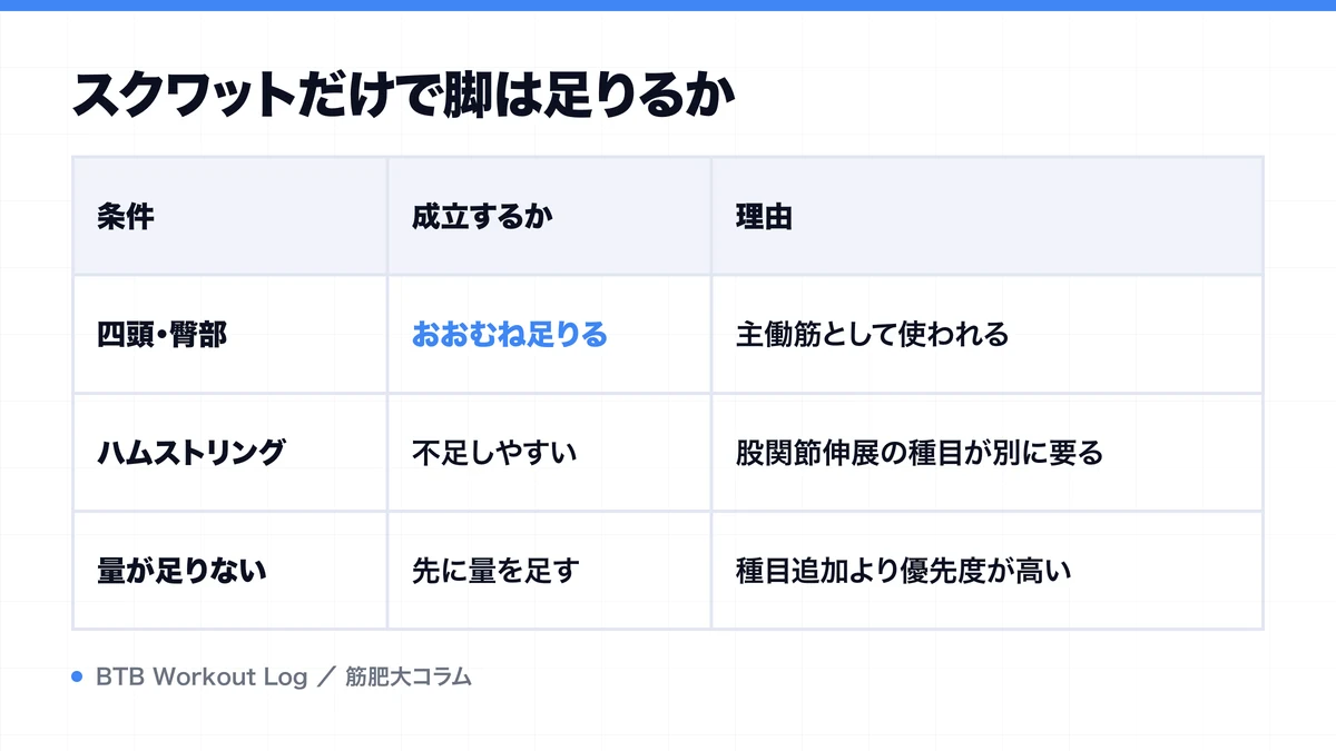 スクワットだけで脚は足りるかを示す図解