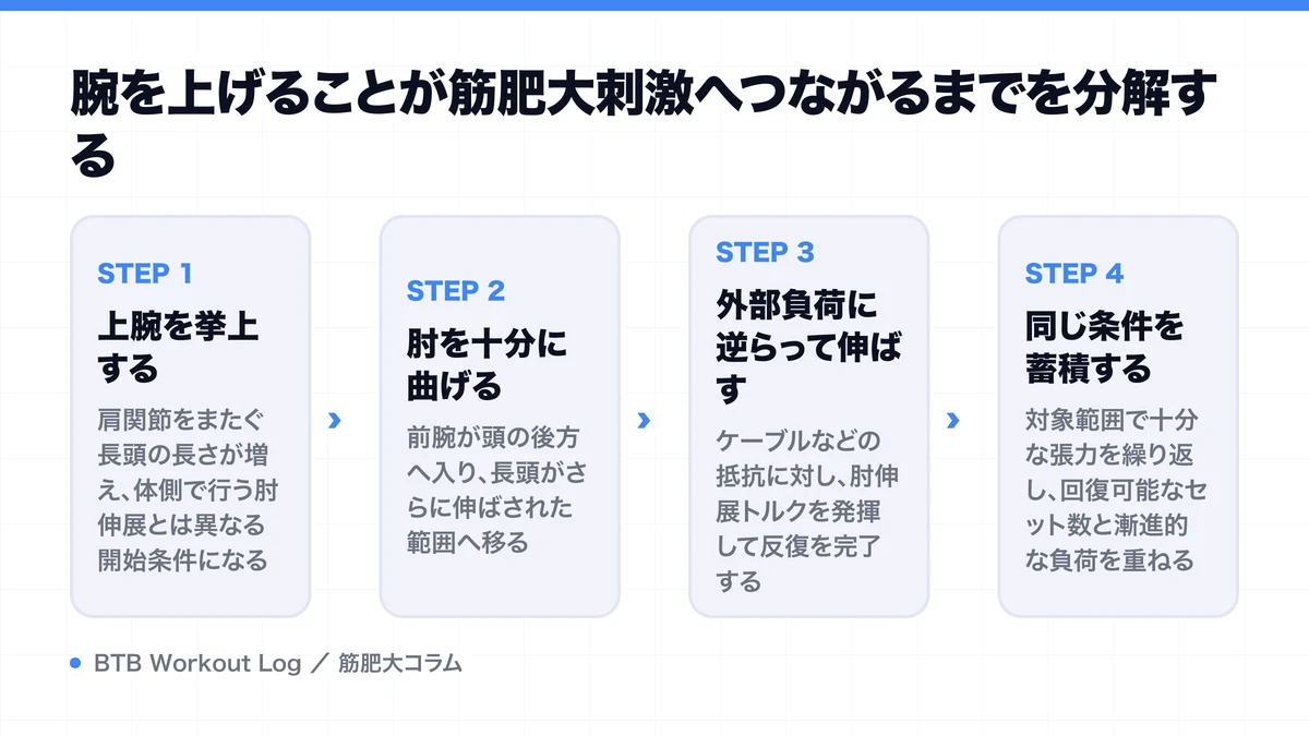 腕を上げることが筋肥大刺激へつながるまでを分解するを示す図解