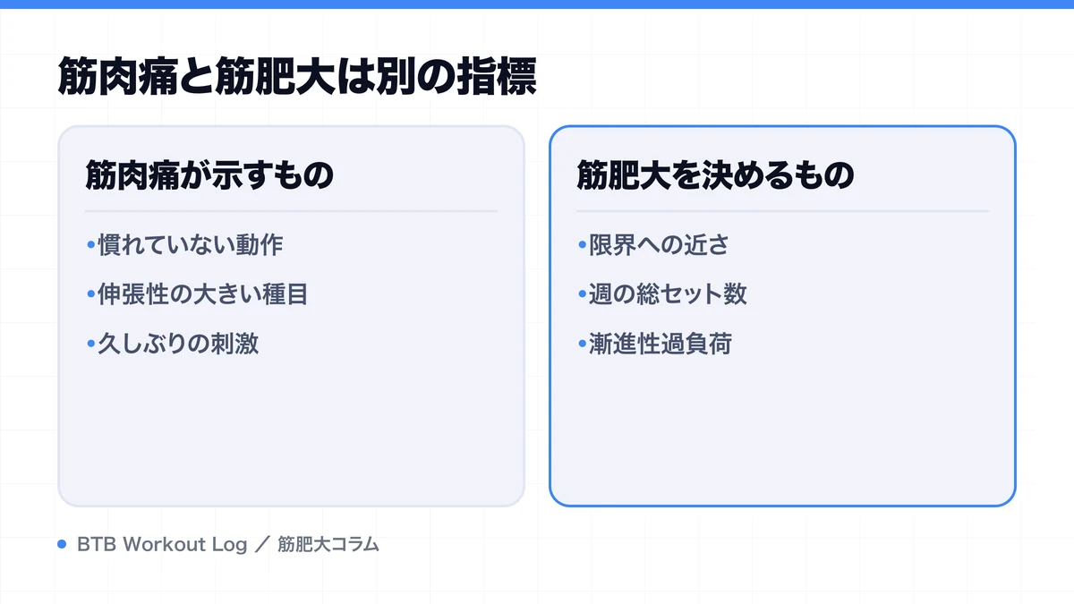 筋肉痛と筋肥大は別の指標を示す図解